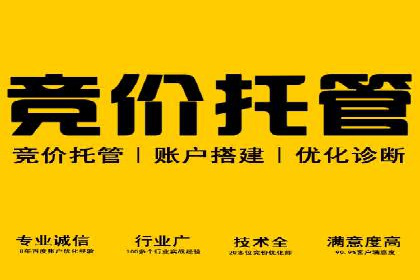 百度运营推广实战技巧，看这些成功案例